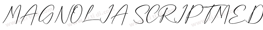 MAGNOLIA SCRIPTMEDIU字体转换